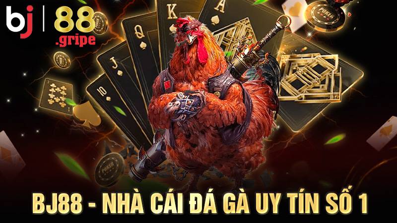 BJ88 34 BJ88 nhà cái Đá gà Casino uy tín số 1